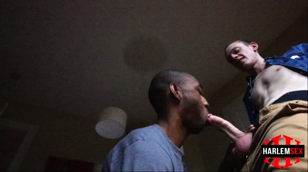 Fuck niggers wife